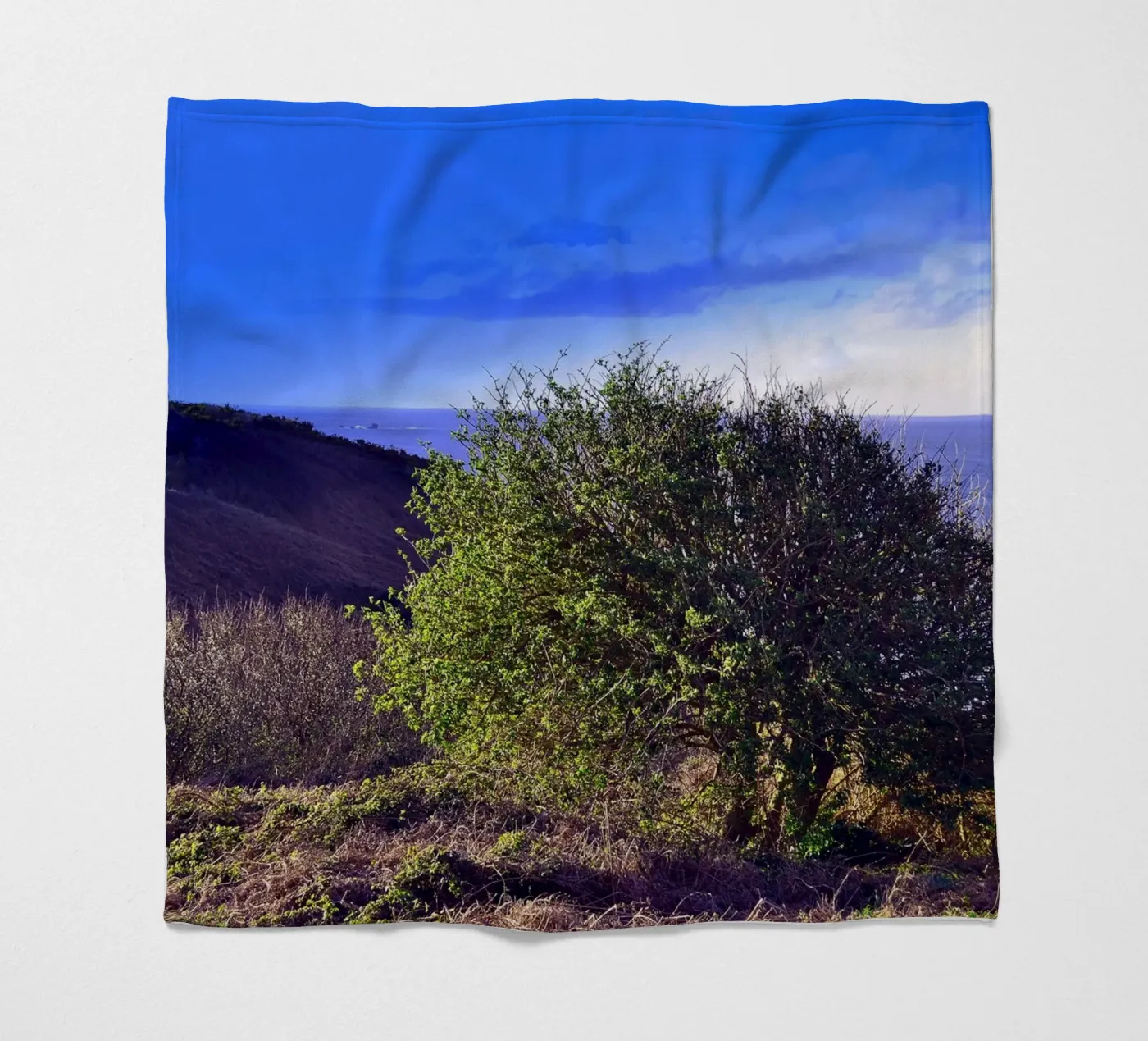 FAA155 fleecedeken van Thierry vobmann photography