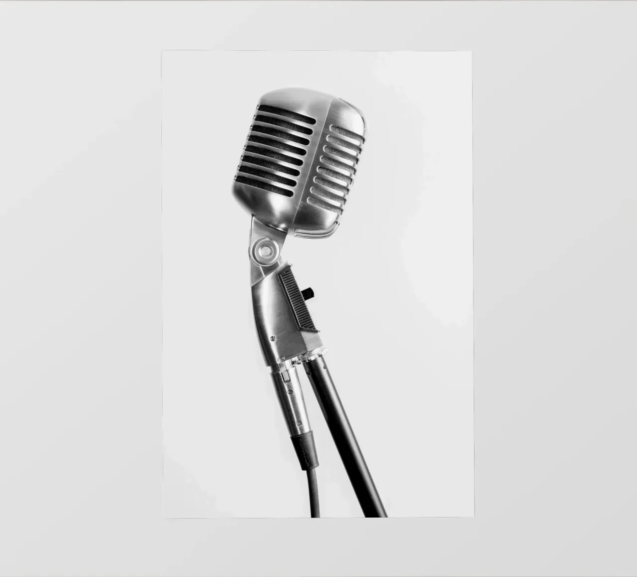 Microfono classico telo in pvc da anderm