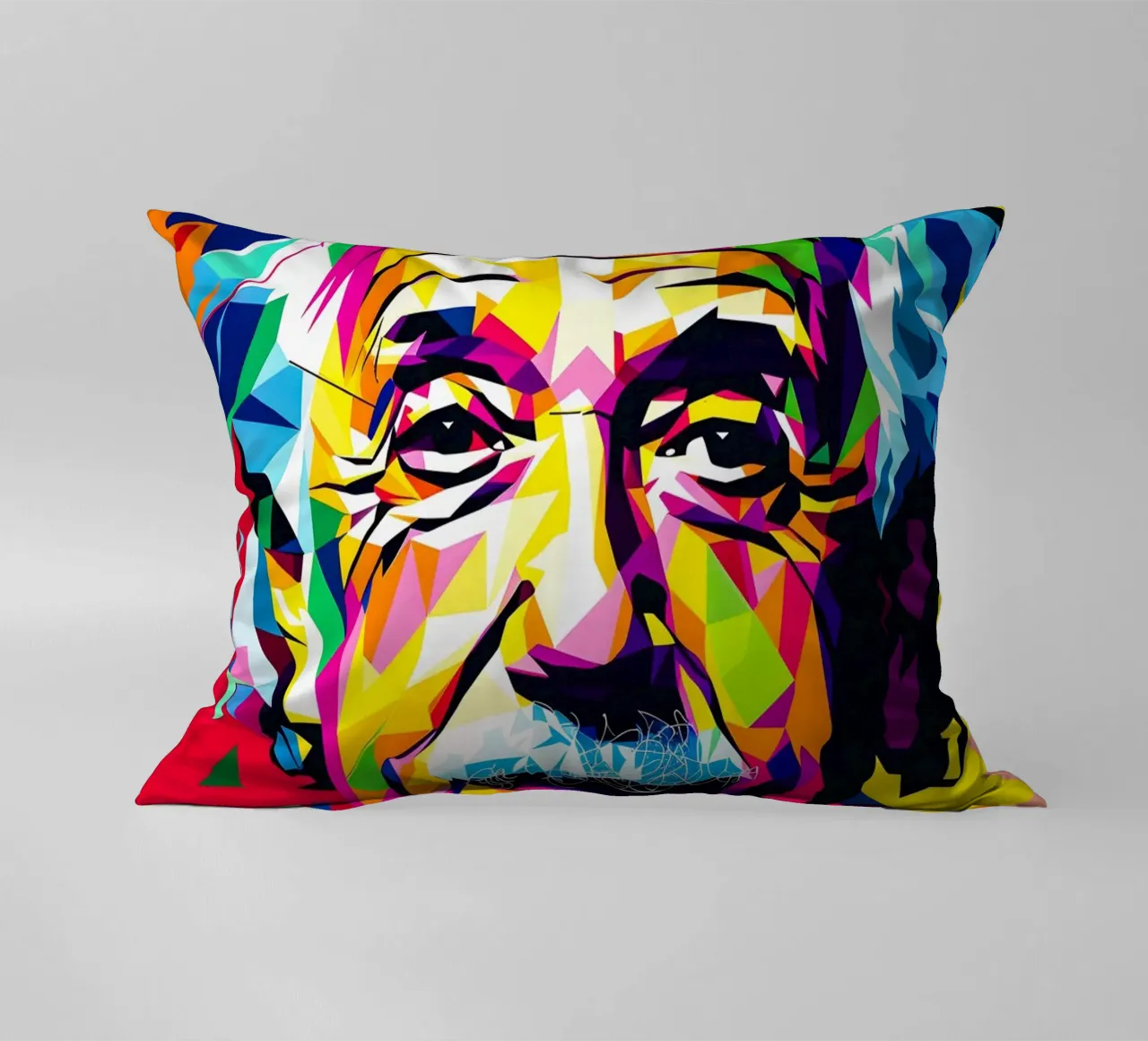 Albert Einstein cojín de HopeStudio