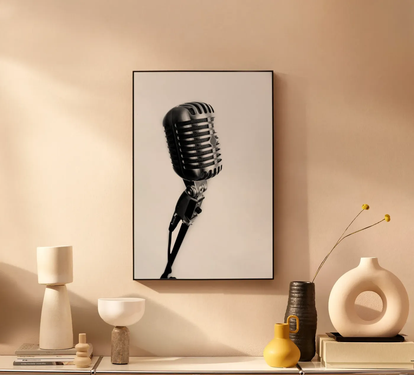 Microphone classique plexiglas de anderm