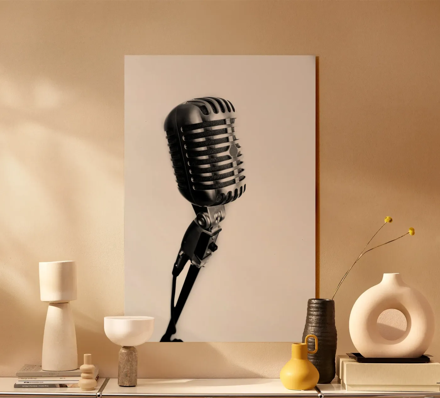 Microphone classique plexiglas de anderm