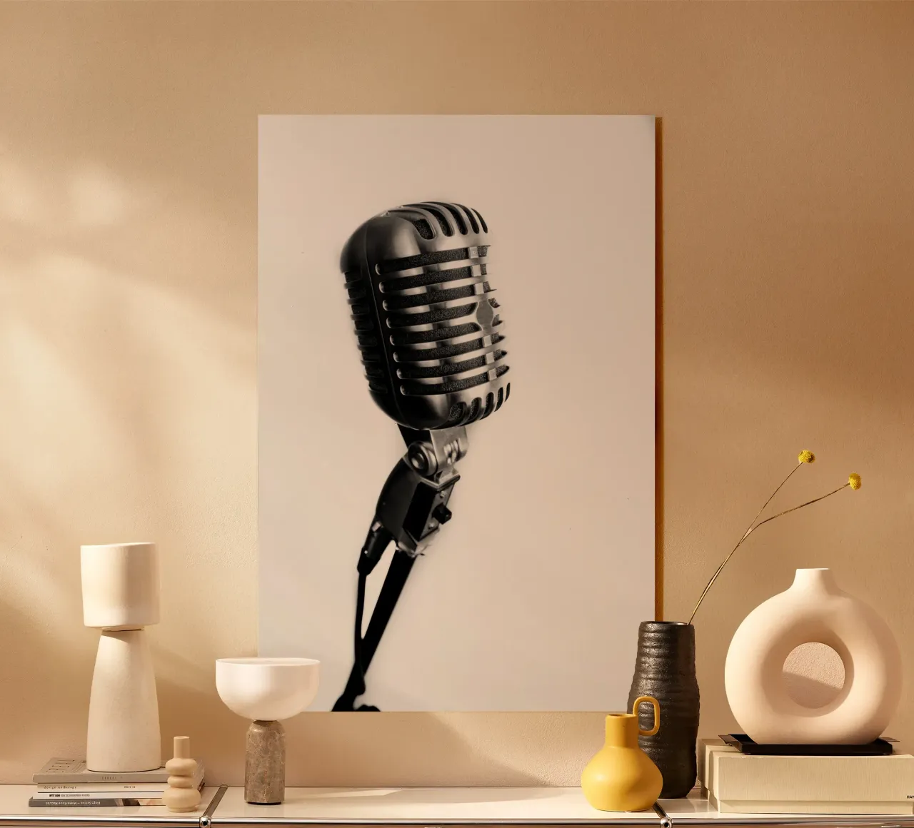 Microfono classico plexiglass da anderm