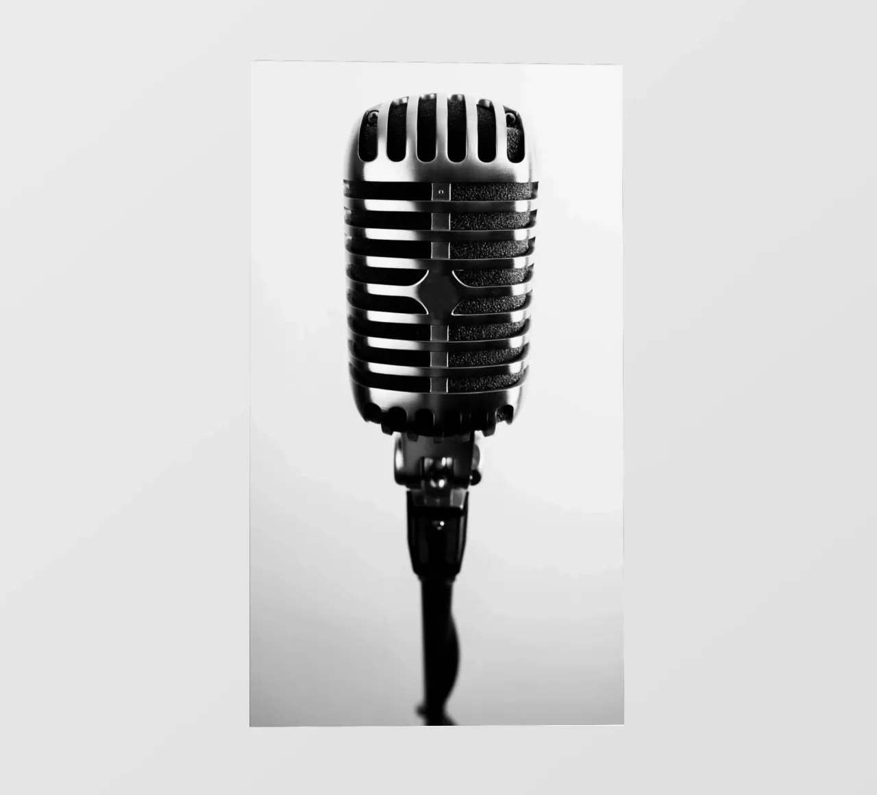 Microfono classico telo in pvc da anderm