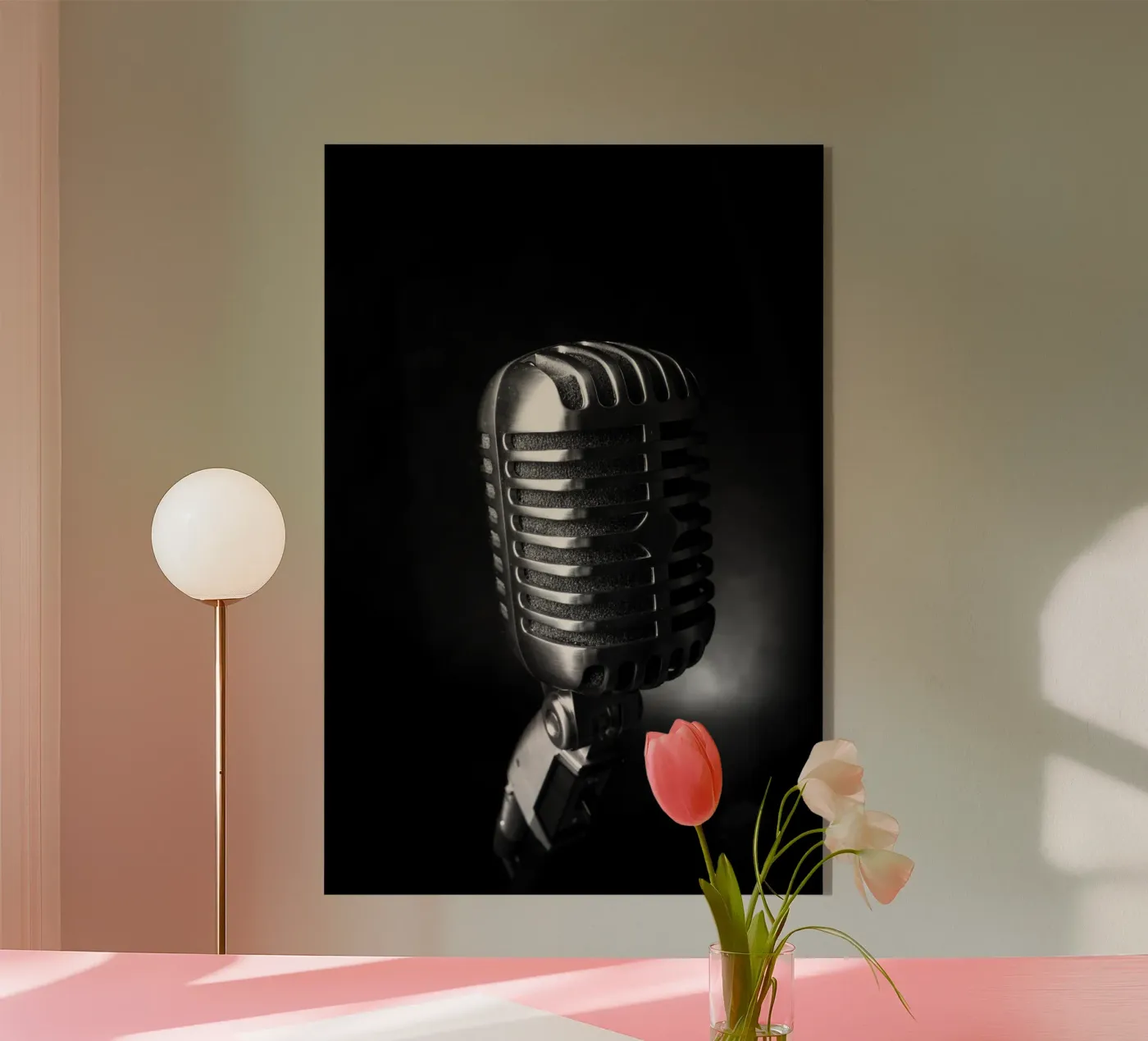 Classic microphone plexiglas de anderm