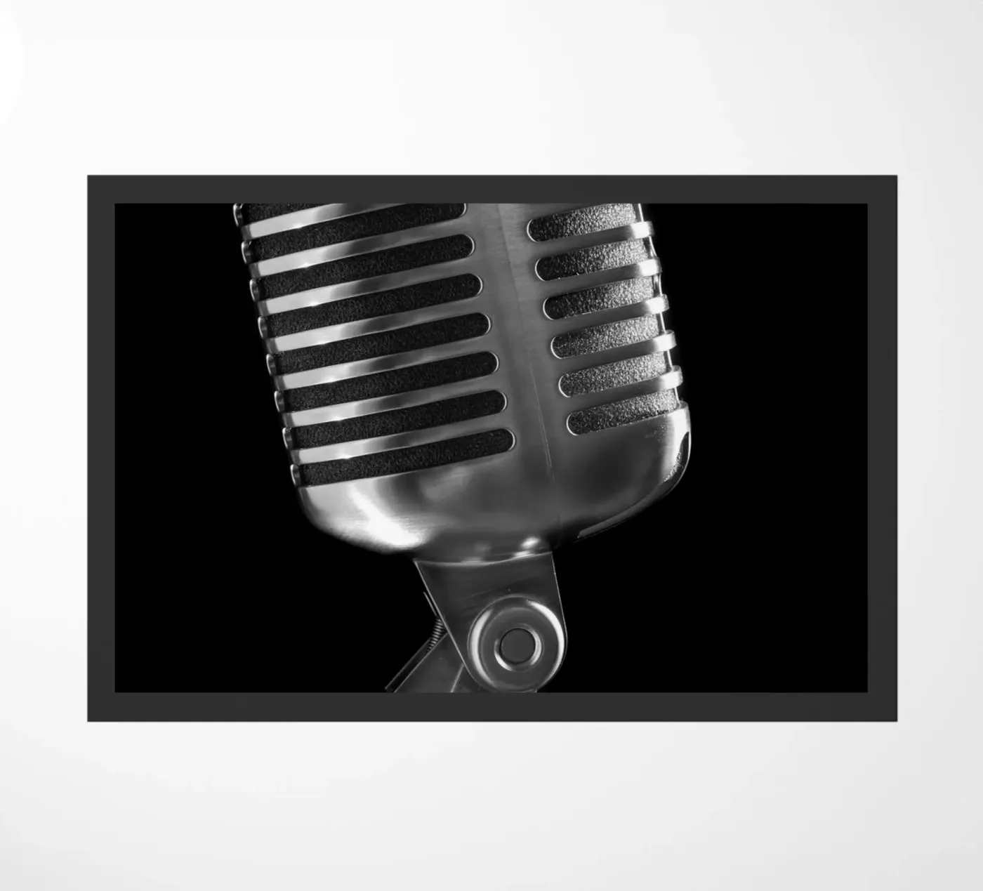 Microfono classico zerbino da anderm