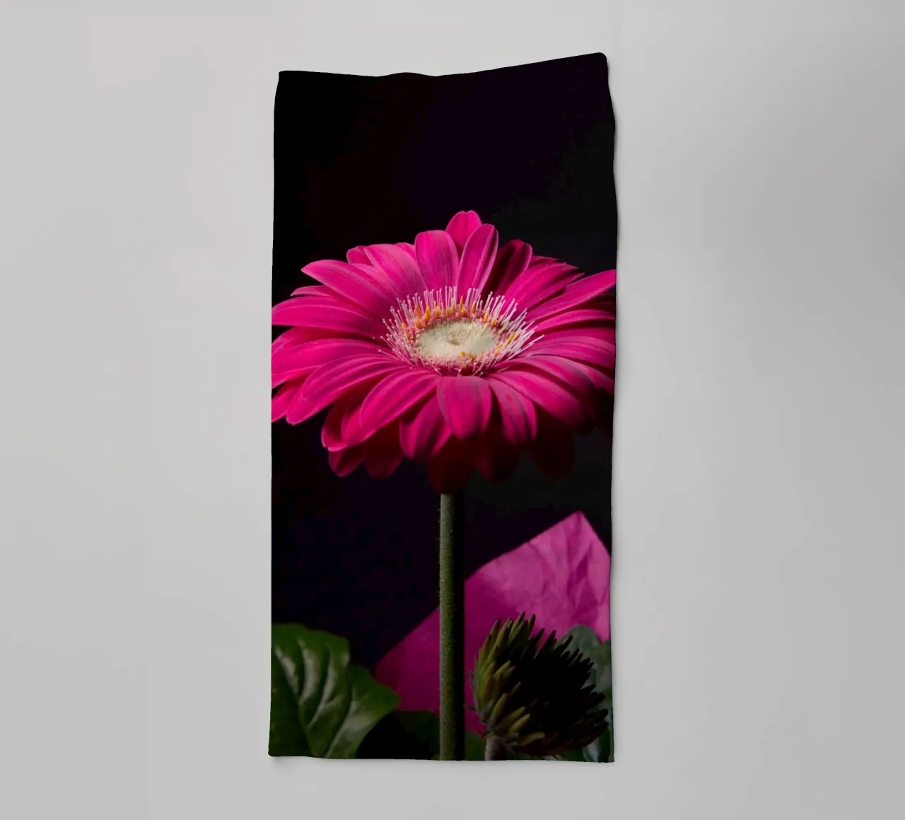 Lila Gerbera Handtuch von anderm