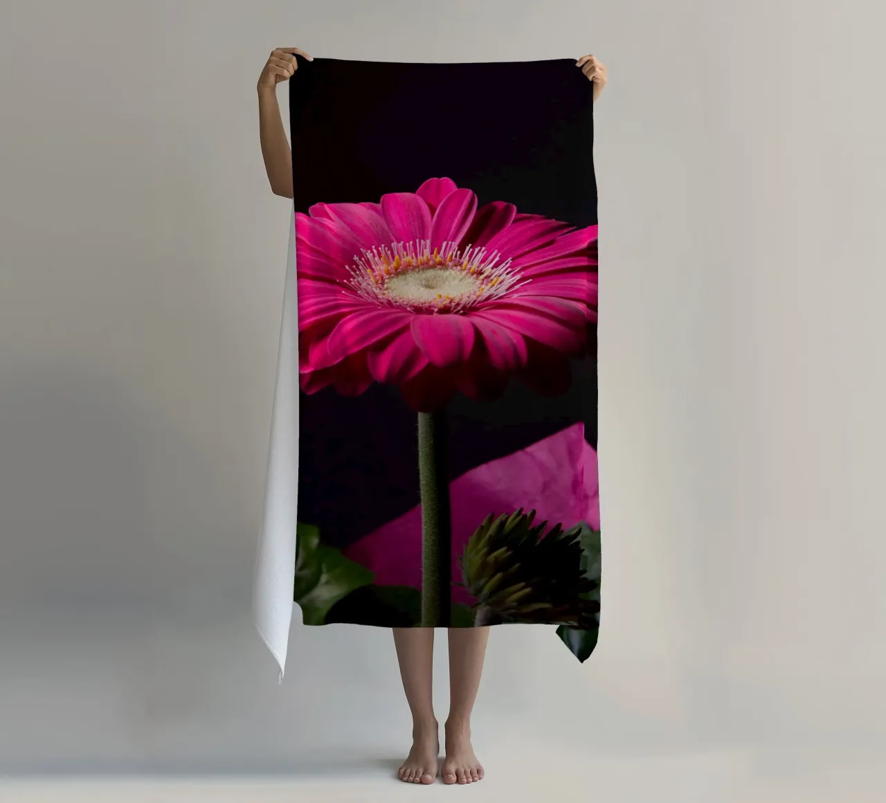 Purple gerbera telo mare da anderm