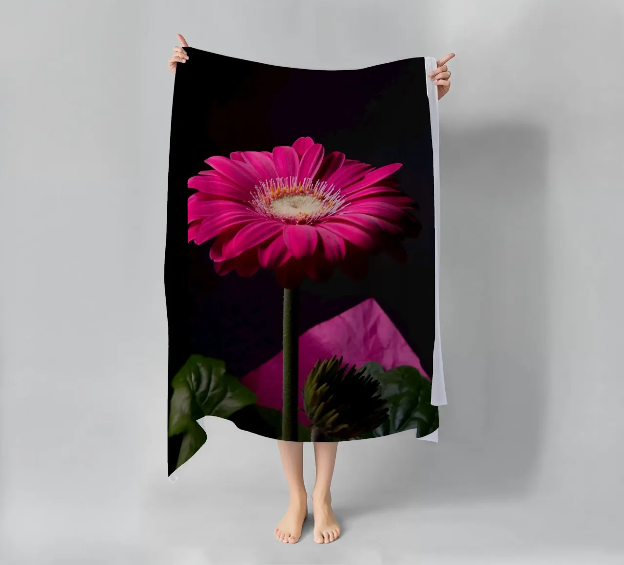 Purple gerbera telo mare da anderm