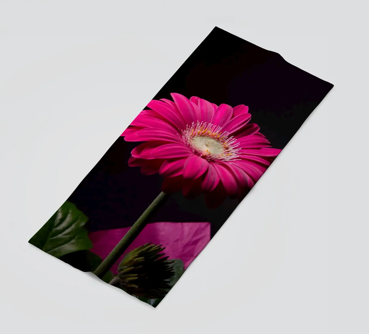 Purple gerbera telo mare da anderm