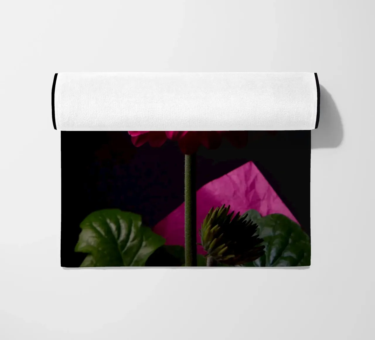 Purple gerbera telo mare da anderm