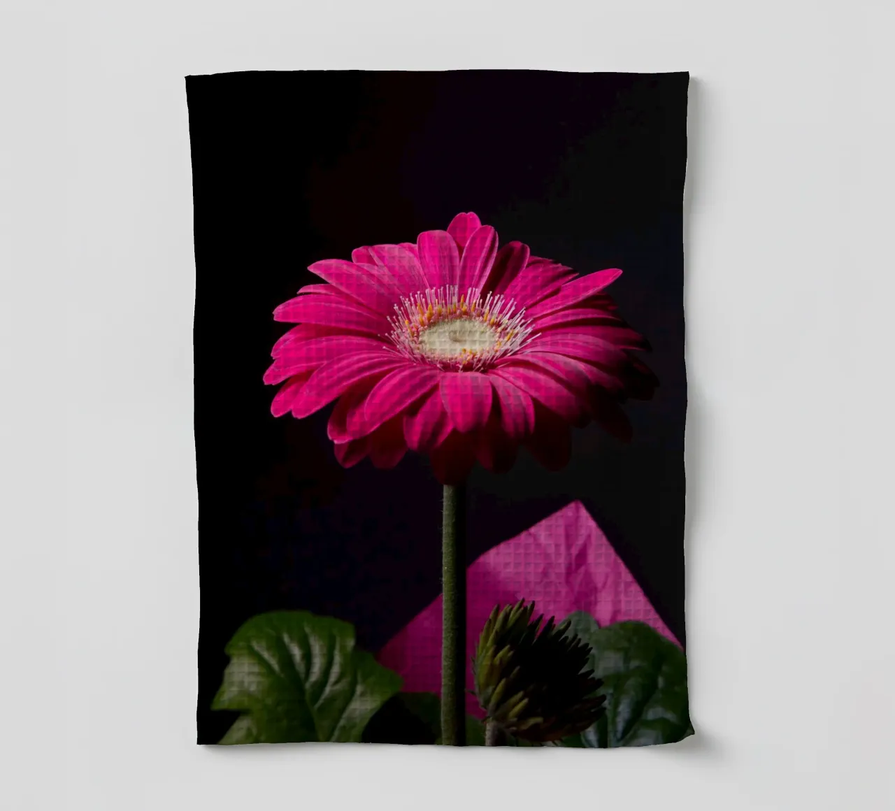 Gerbera viola canovaccio da cucina da anderm