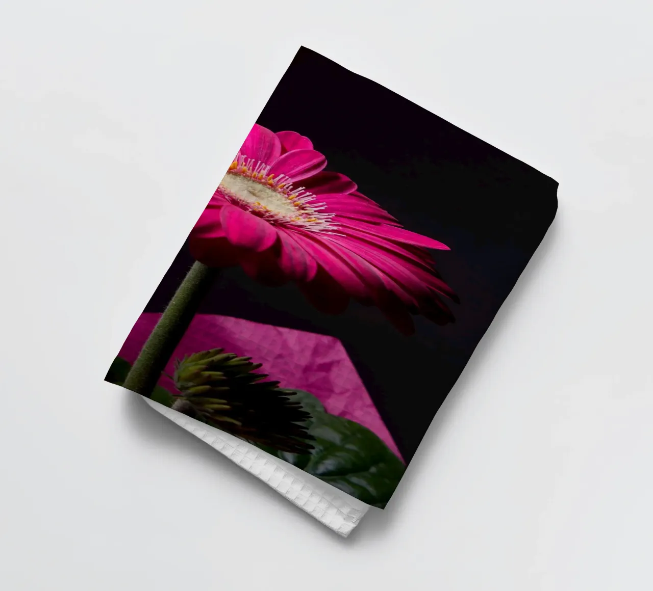 Gerbera viola canovaccio da cucina da anderm