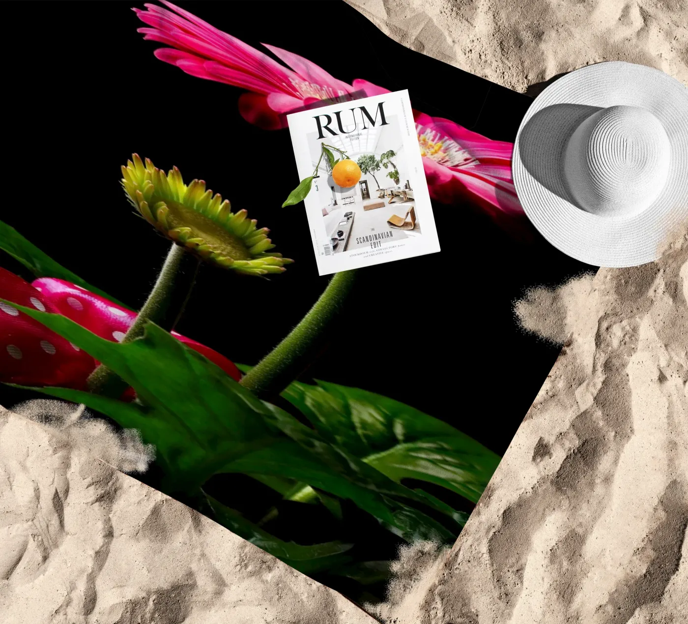 Gerbera viola telo mare da anderm