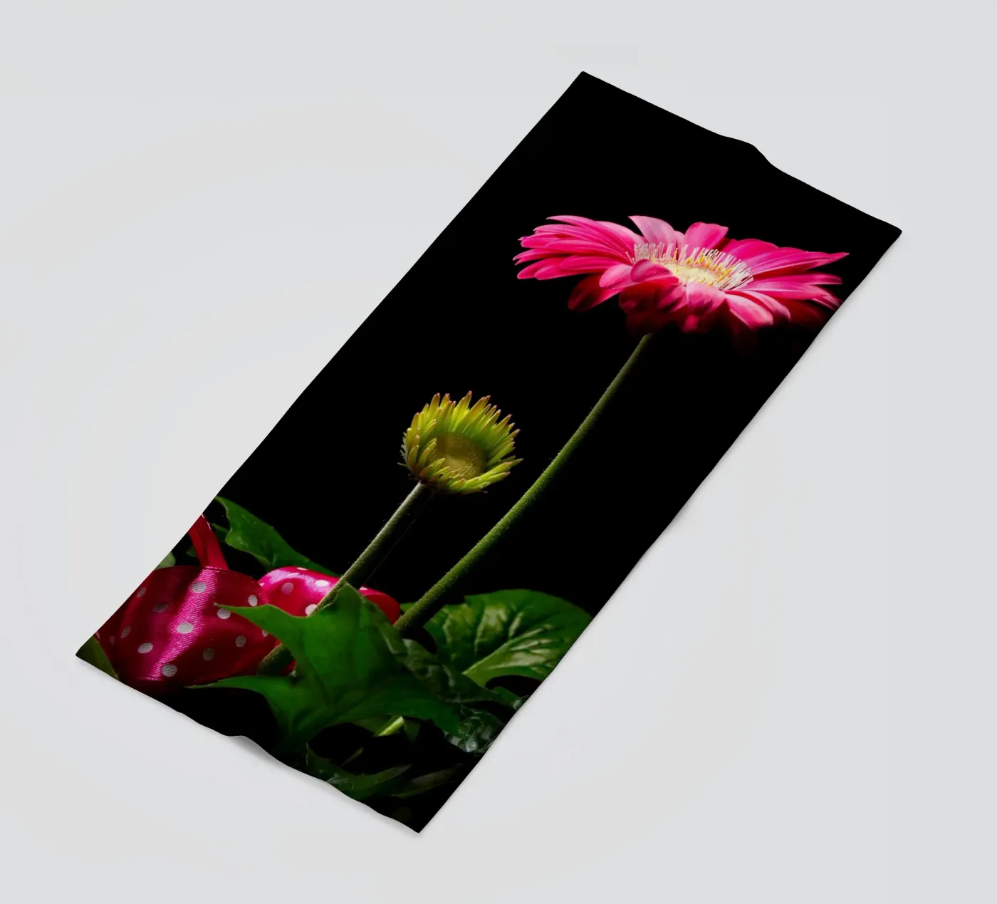 Gerbera viola telo mare da anderm