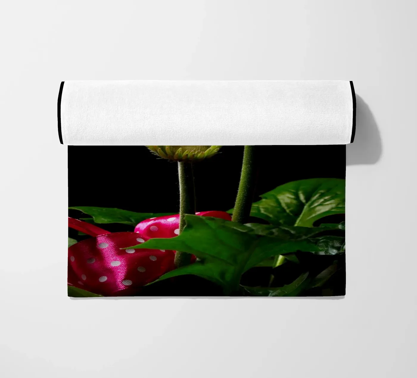 Gerbera viola telo mare da anderm