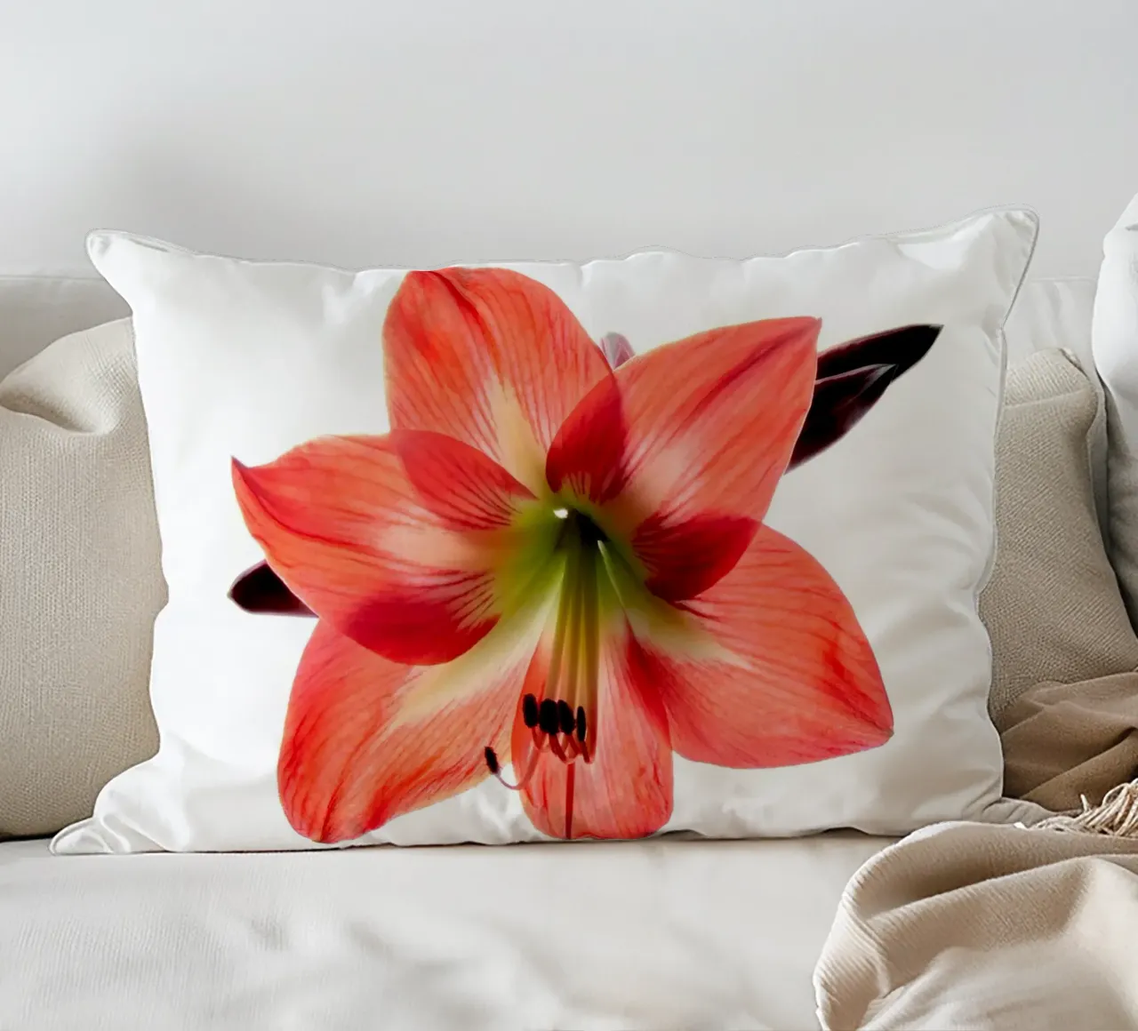 Amaryllis rosso cuscino da anderm