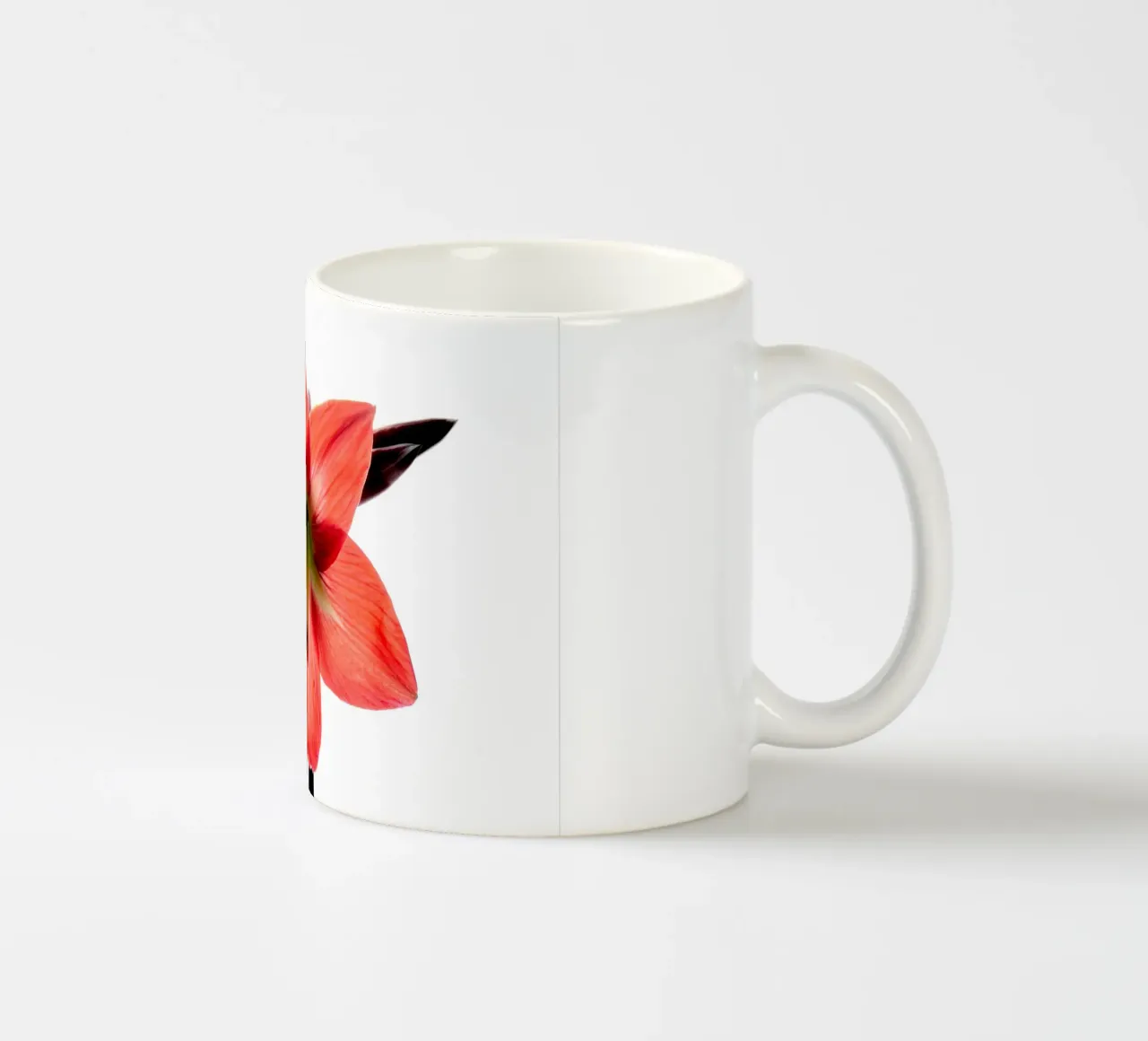 Amaryllis rosso tazza in ceramica da anderm
