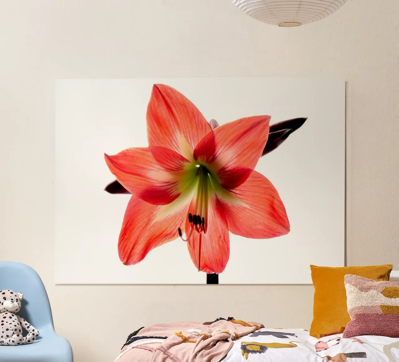 Amaryllis rosso carta hahnemühle da anderm