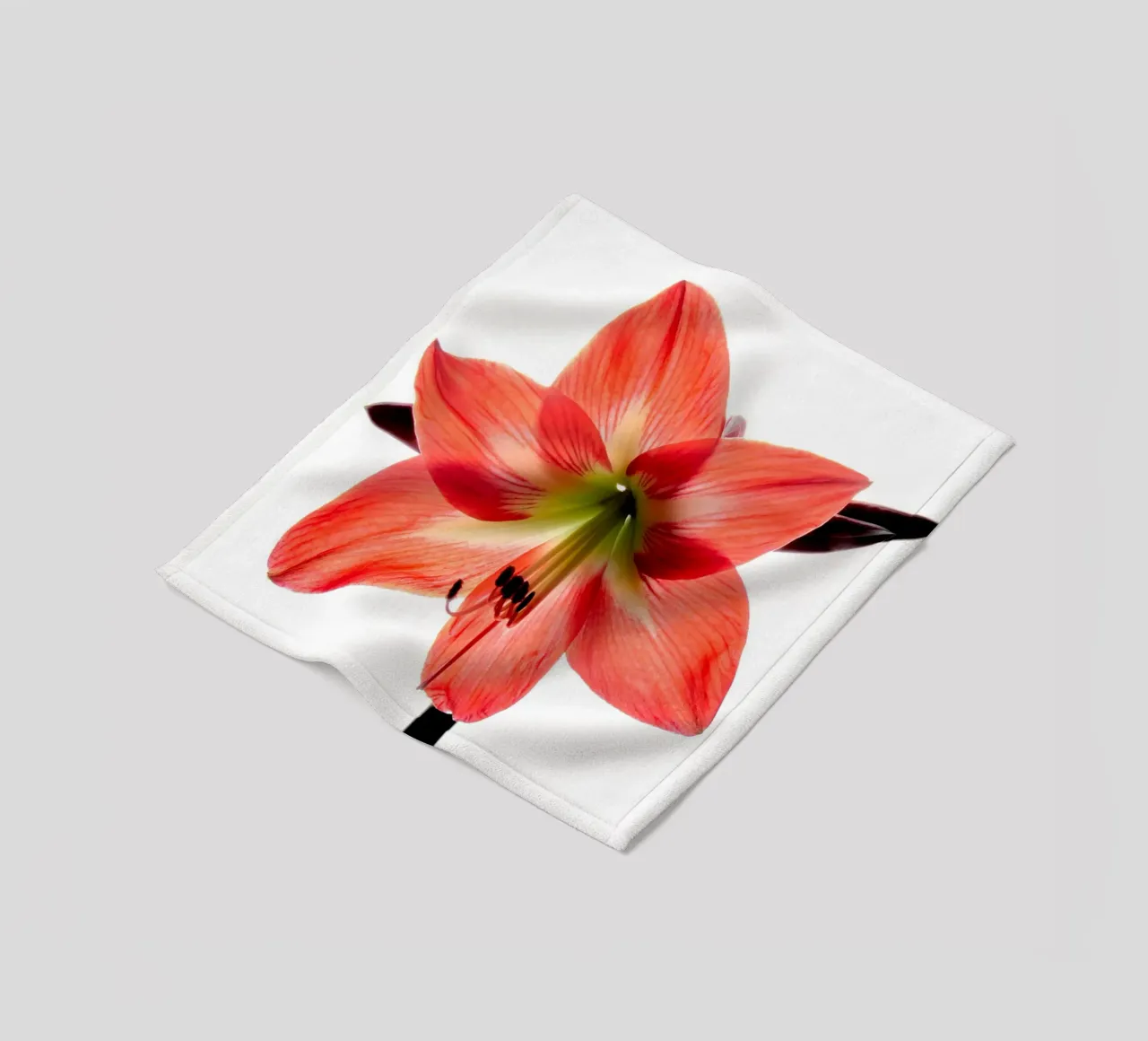 Amaryllis rosso coperta in pile da anderm