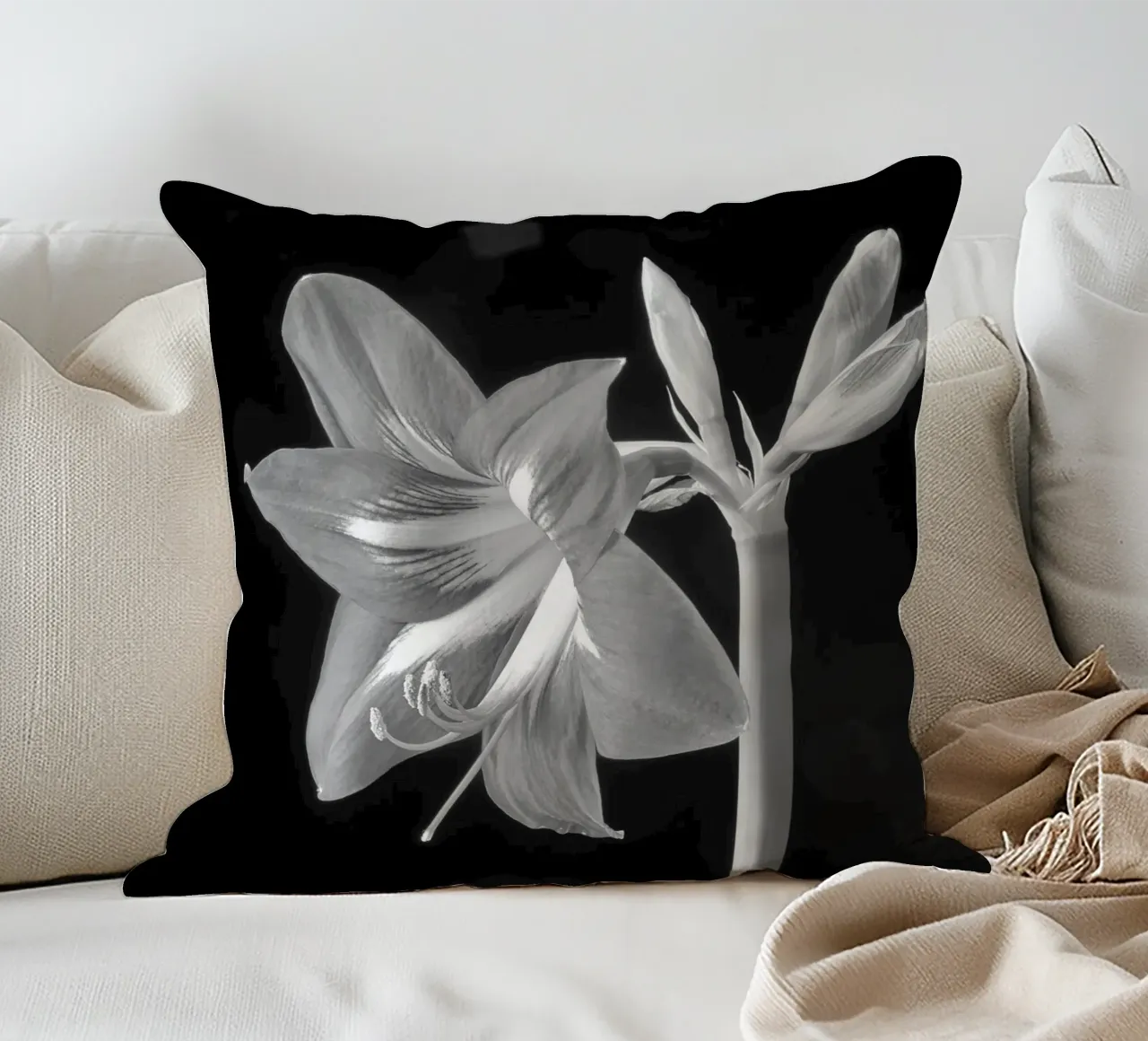 Amaryllis cuscino da anderm