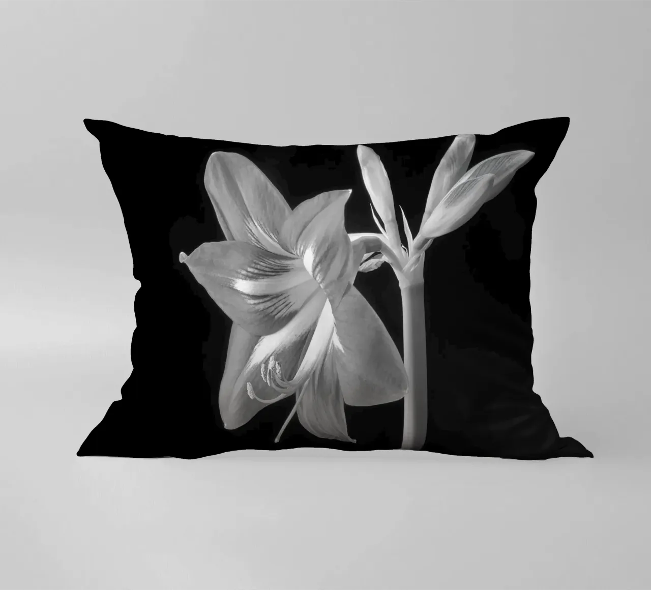 Amaryllis cuscino da anderm