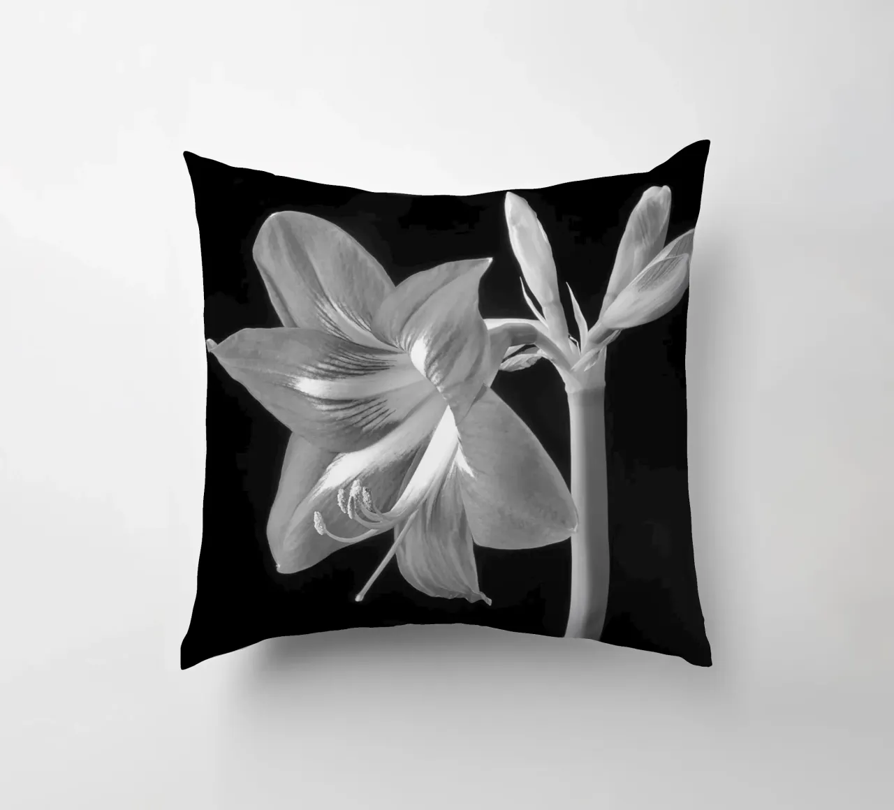 Amaryllis cuscino da anderm