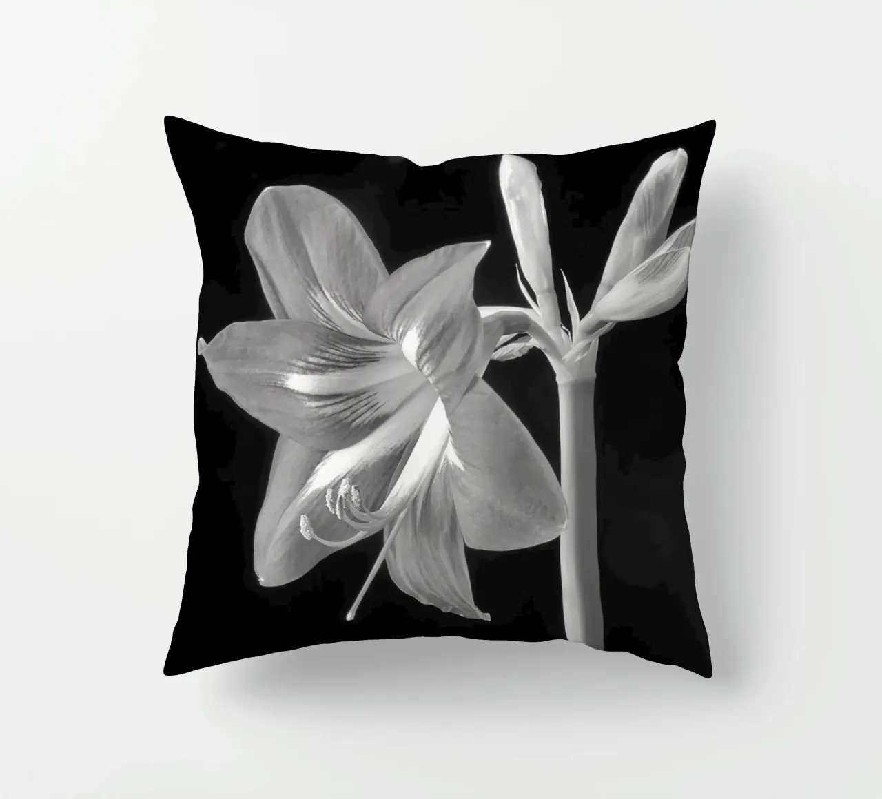 Amaryllis cuscino da anderm