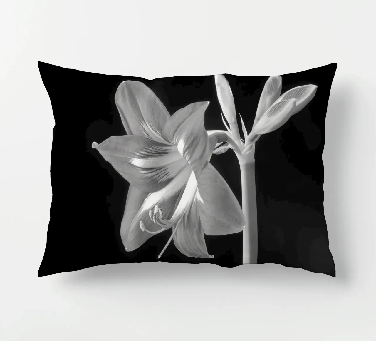 Amaryllis cuscino da anderm
