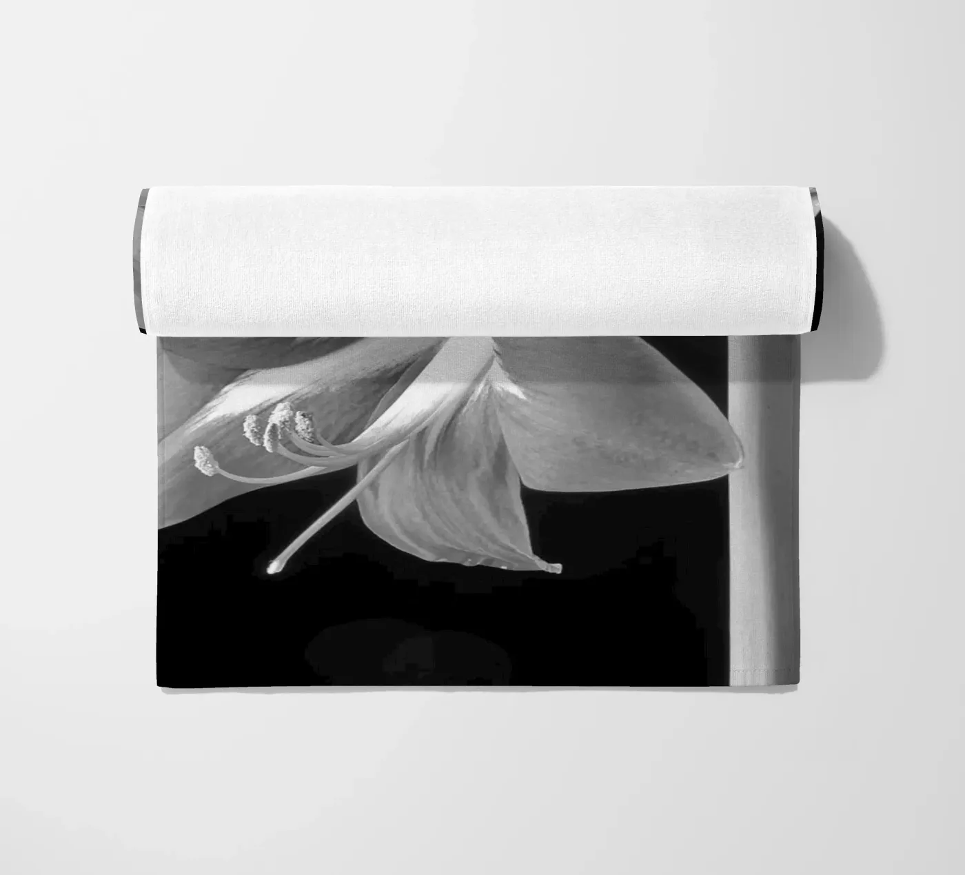 Amaryllis telo mare da anderm