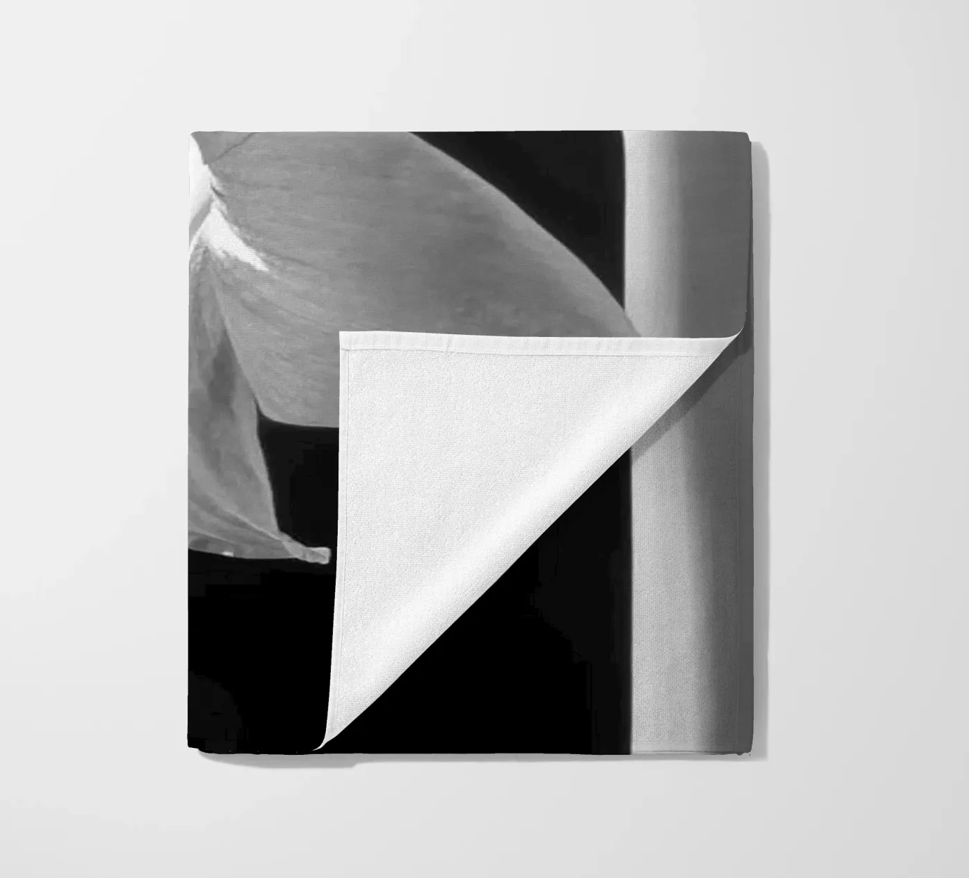 Amaryllis telo mare da anderm