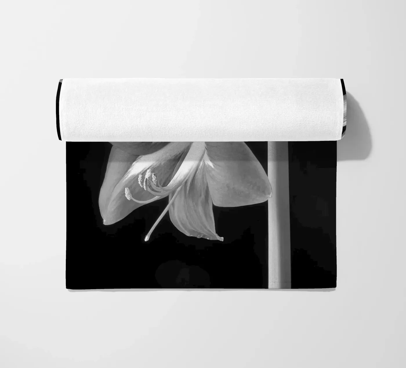 Amaryllis telo mare da anderm