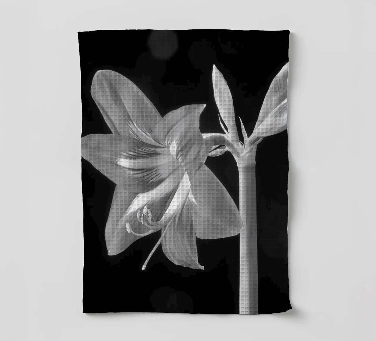 Amaryllis canovaccio da cucina da anderm
