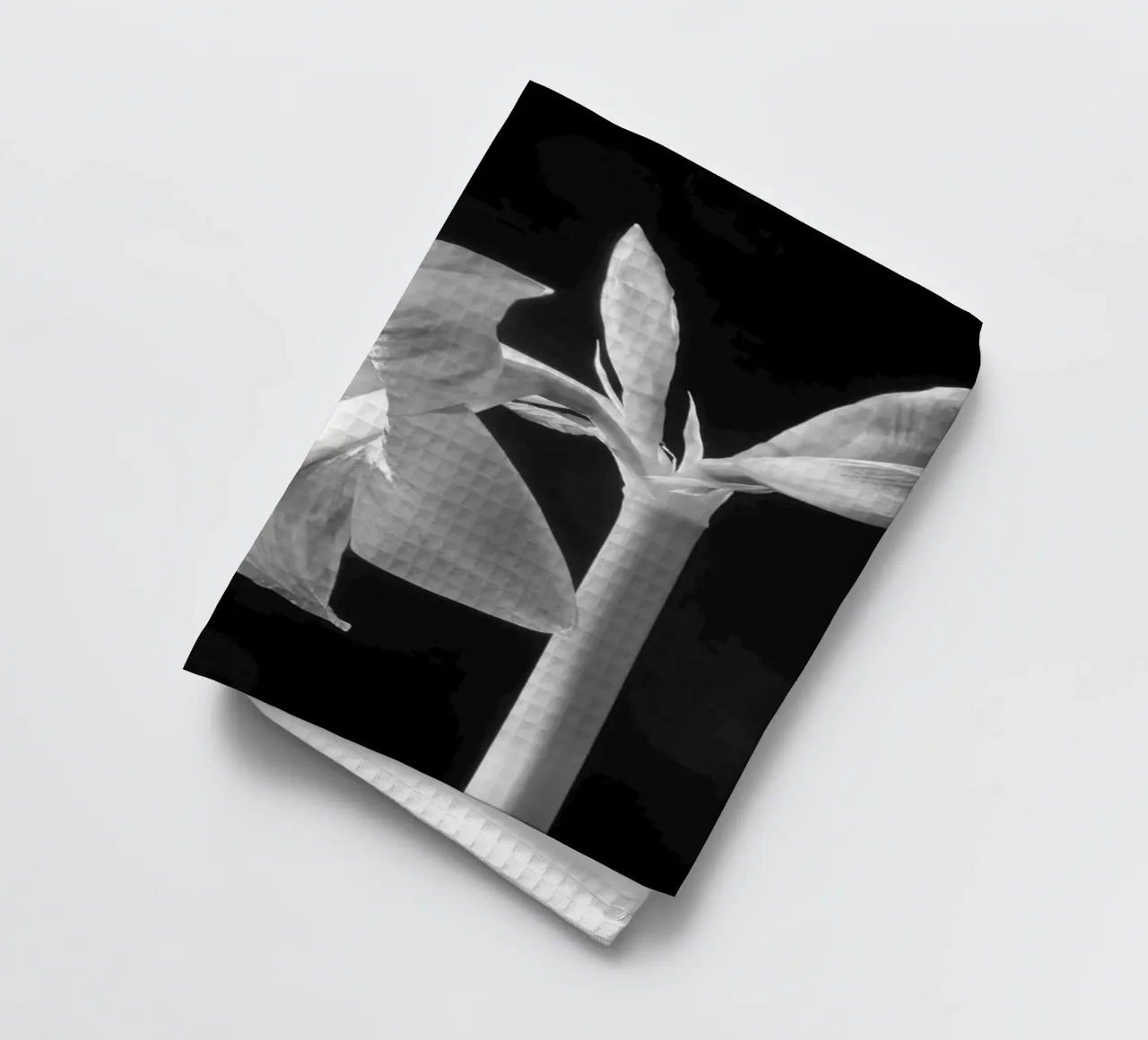 Amaryllis canovaccio da cucina da anderm