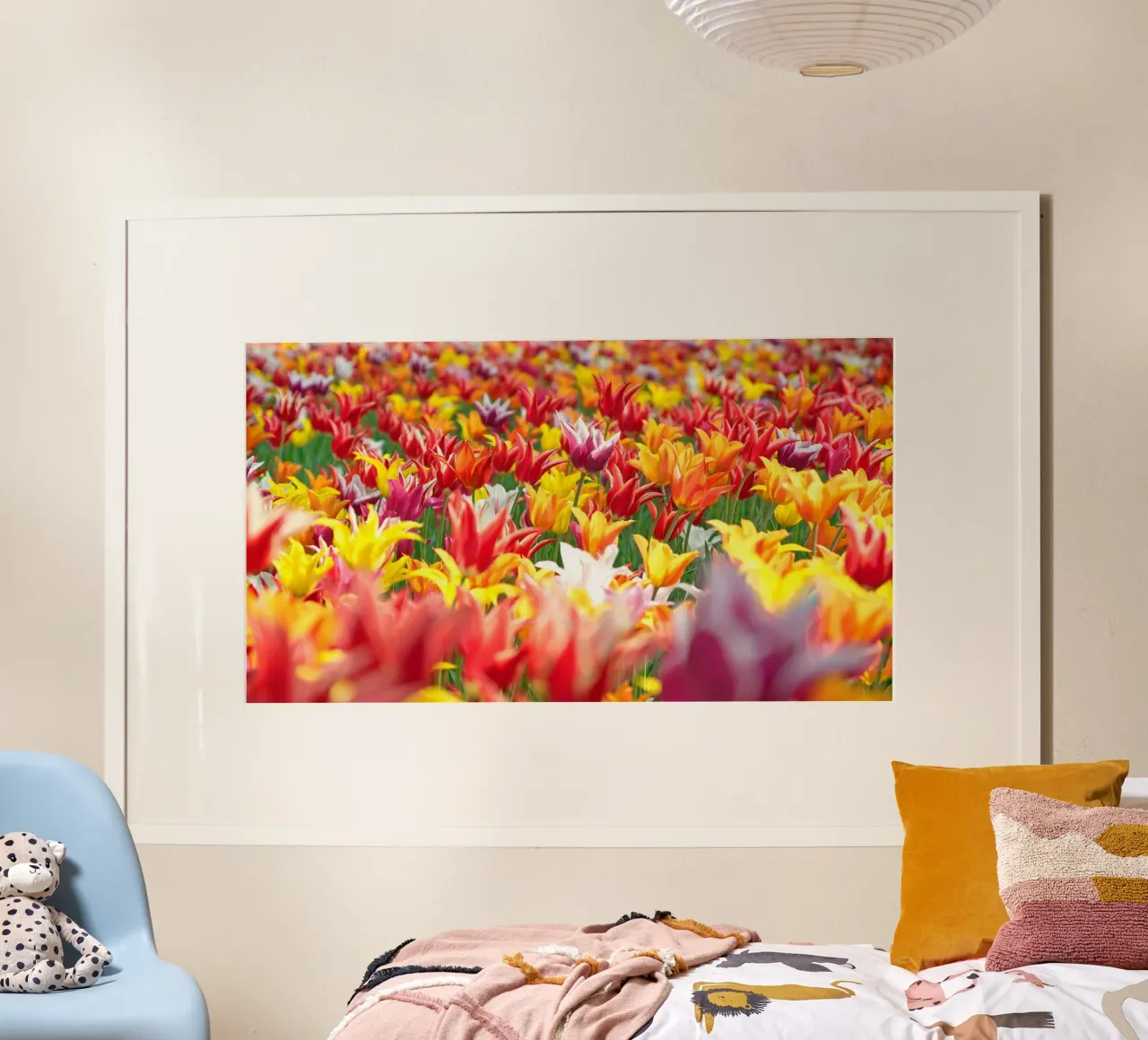 Colourful tulips poster with aluminum frame by anderm