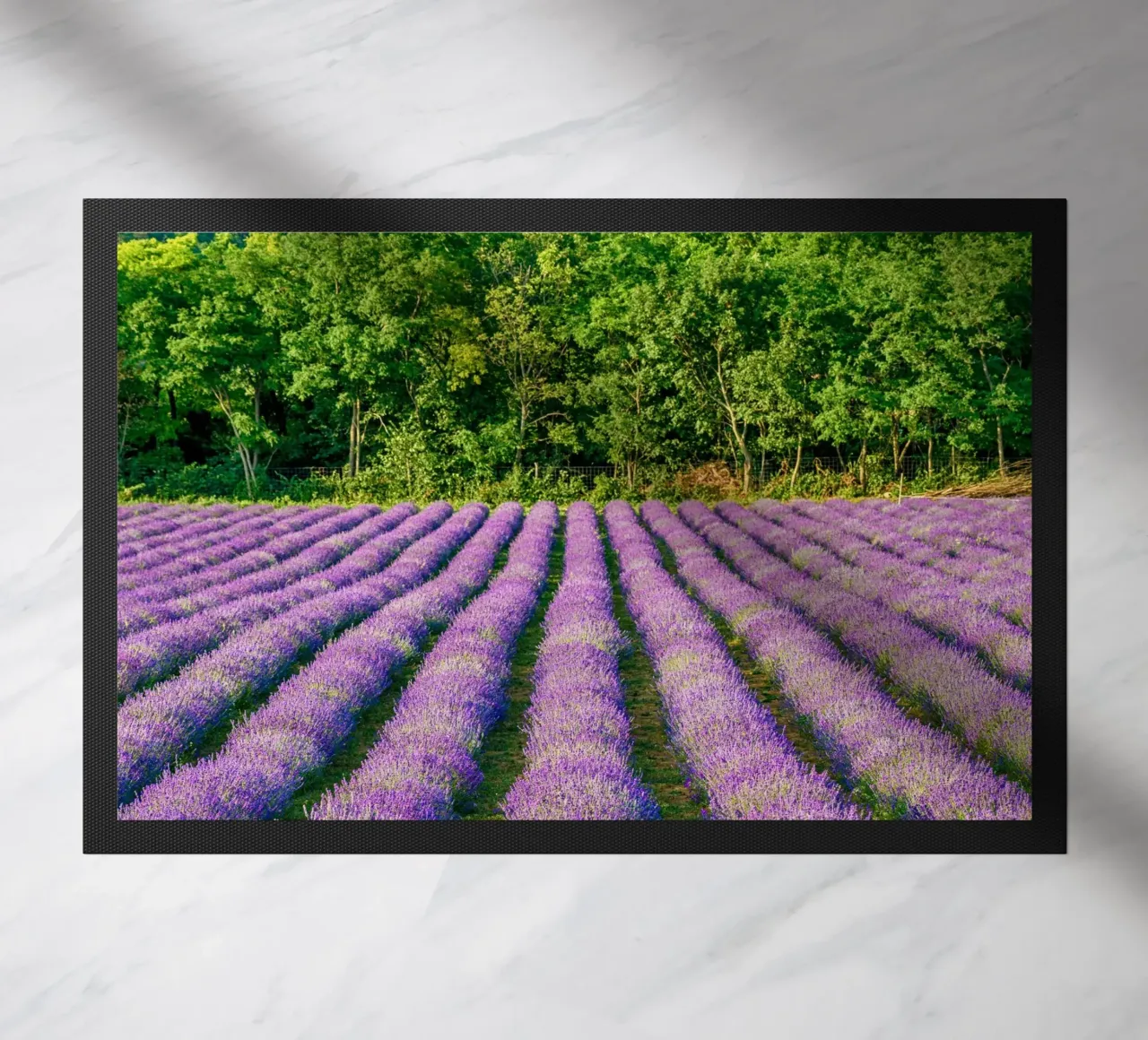 Levander field doormat by anderm