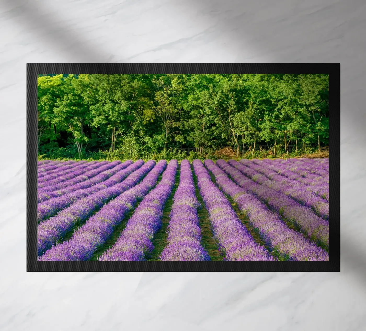 Levander field doormat by anderm