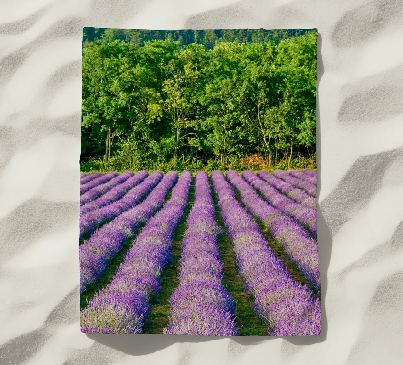 Campo di Levander telo mare da anderm