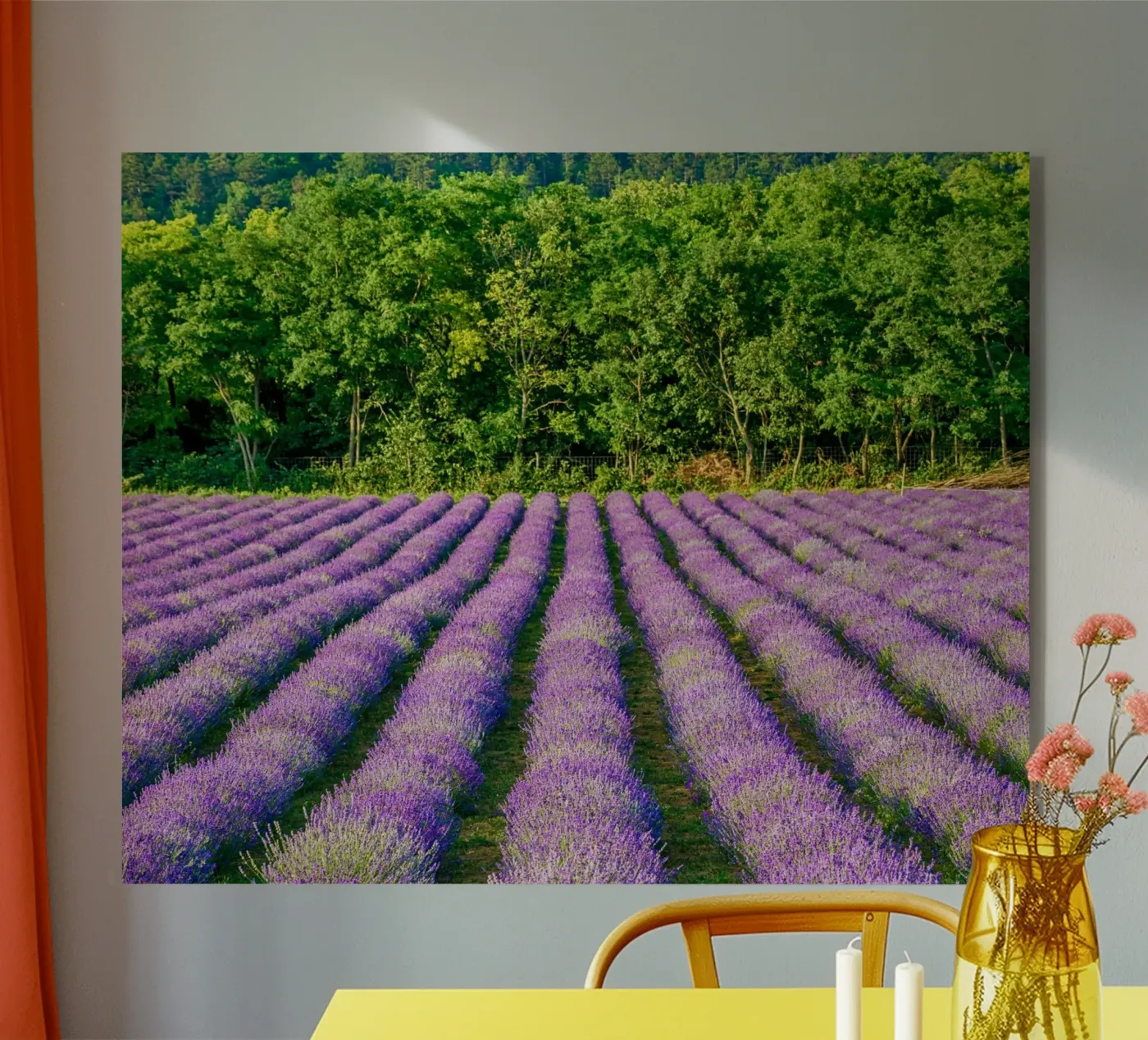 Champ de Levander plexiglas de anderm