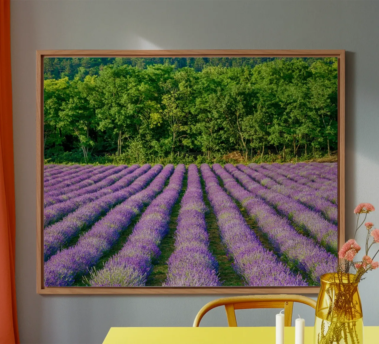 Campo di Levander pannello forex da anderm