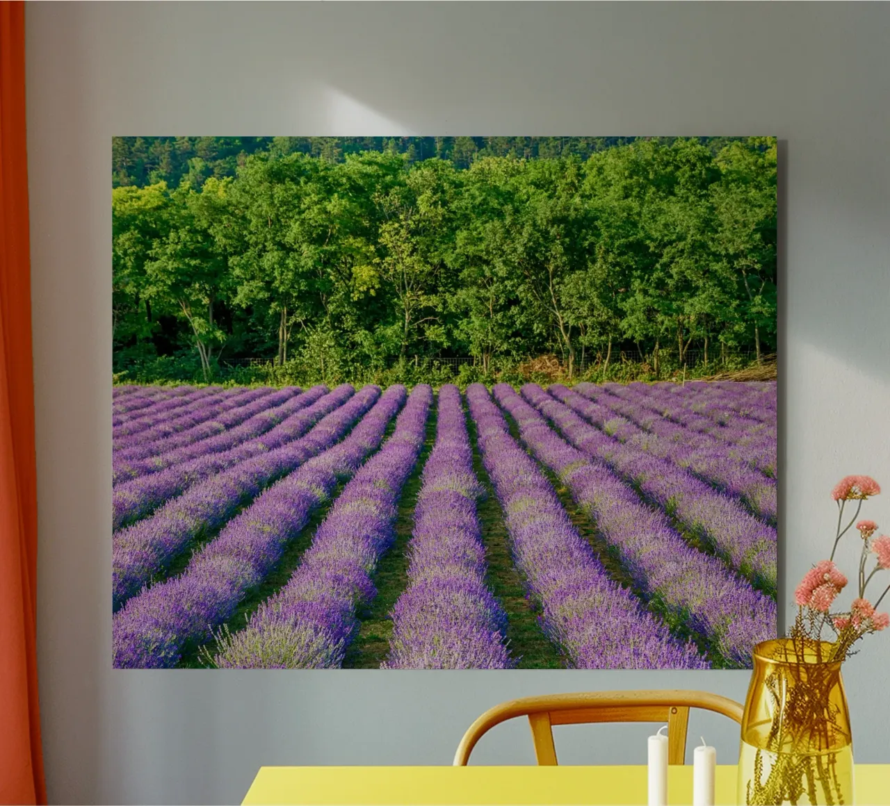 Campo di Levander pannello forex da anderm