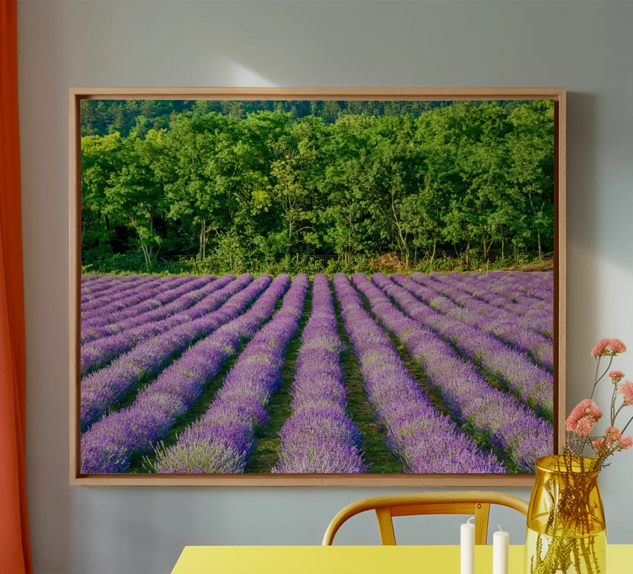 Campo di Levander tela da anderm