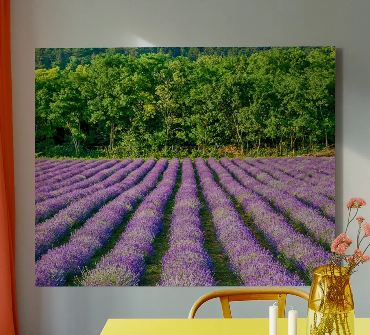 Campo di Levander tela da anderm