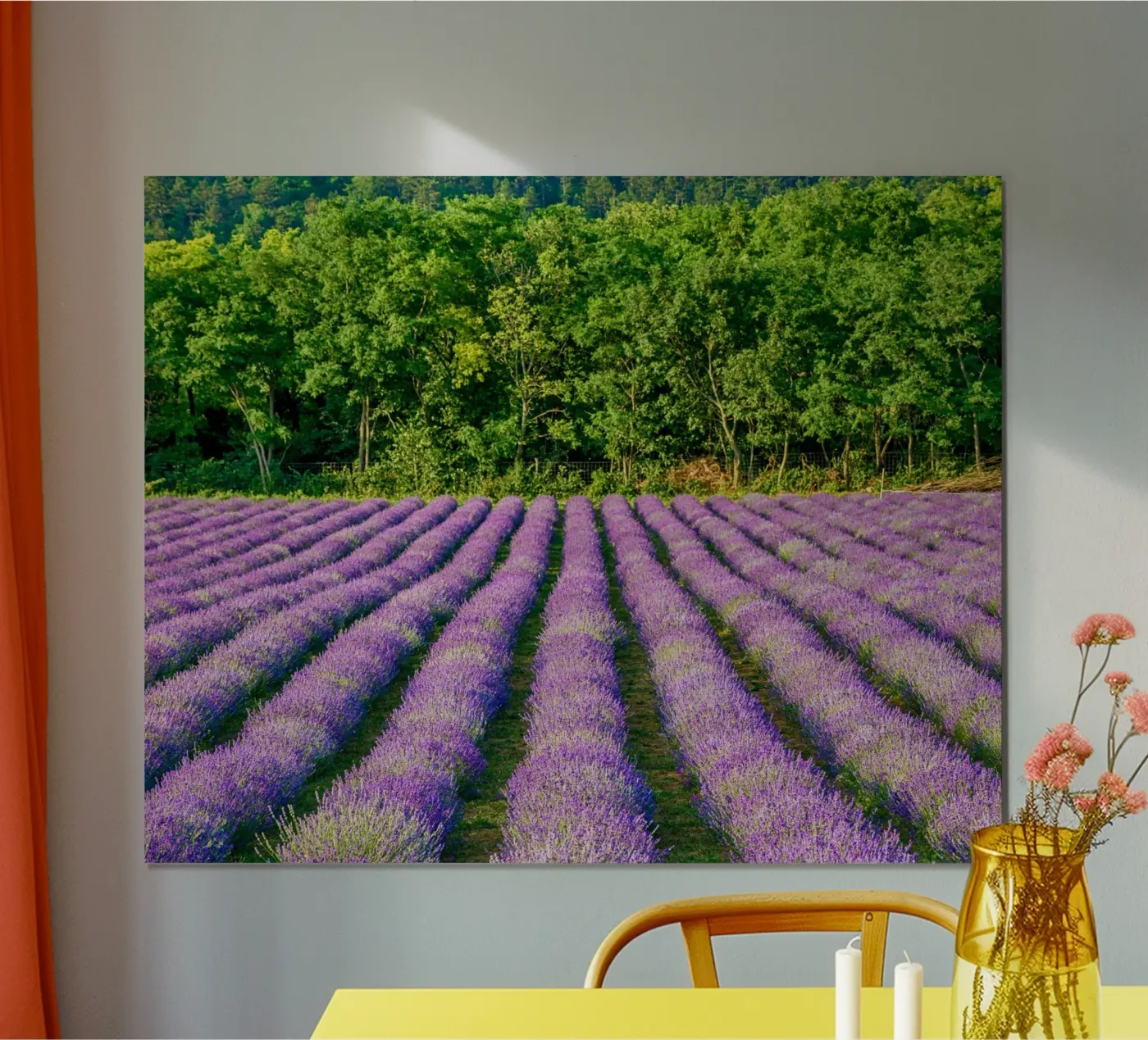 Campo di Levander poster da anderm