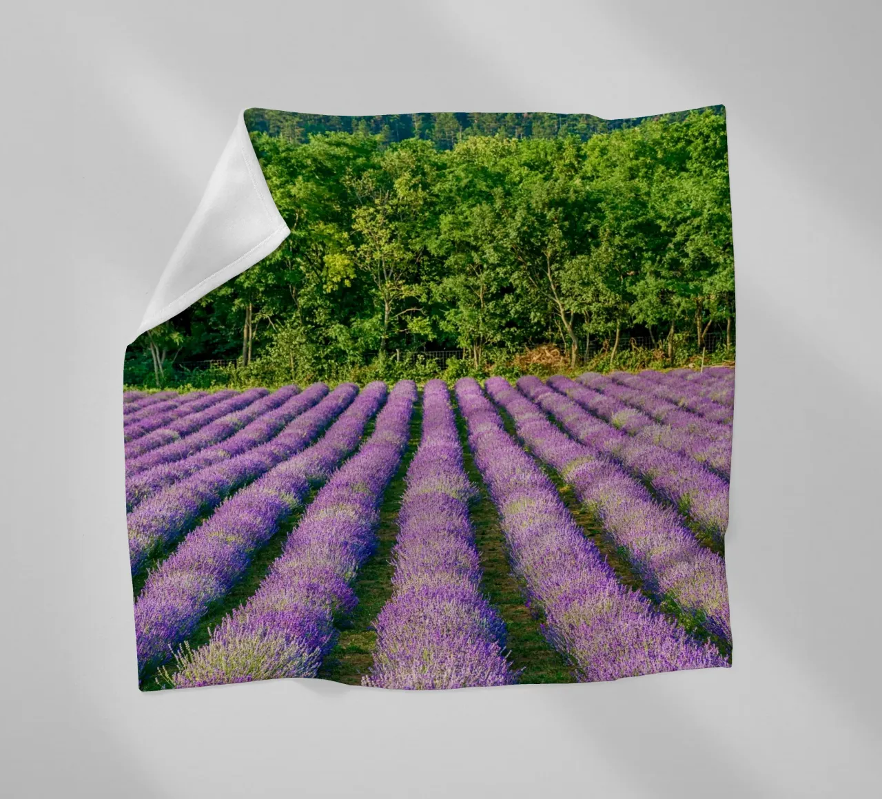 Levander-veld fleecedeken van anderm