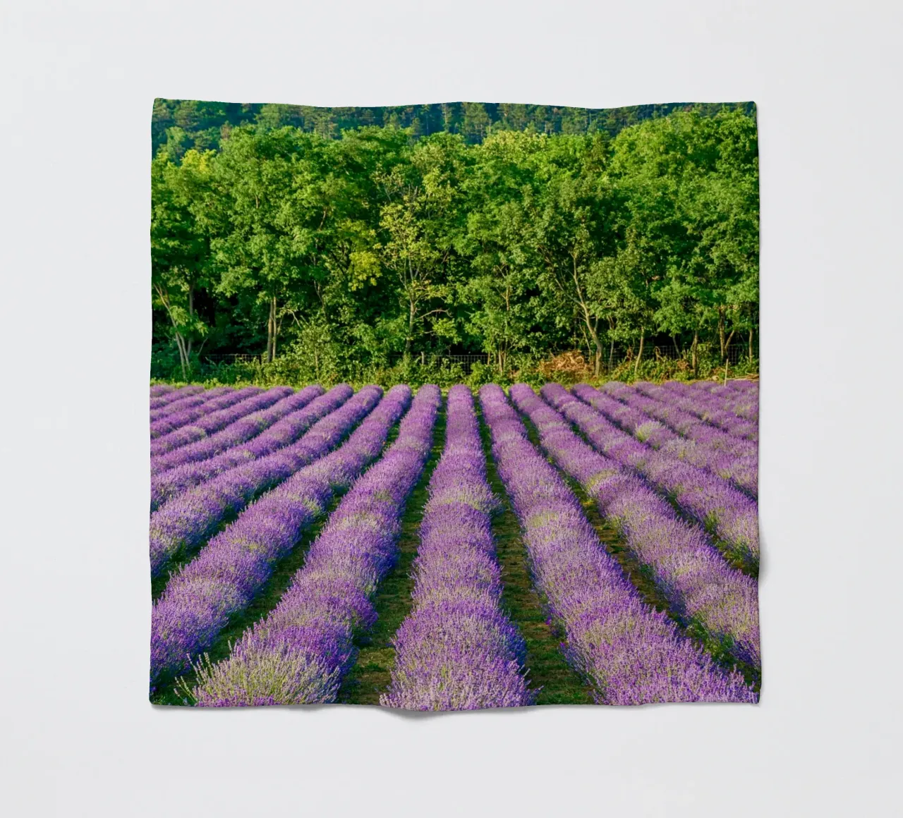 Levander-veld fleecedeken van anderm