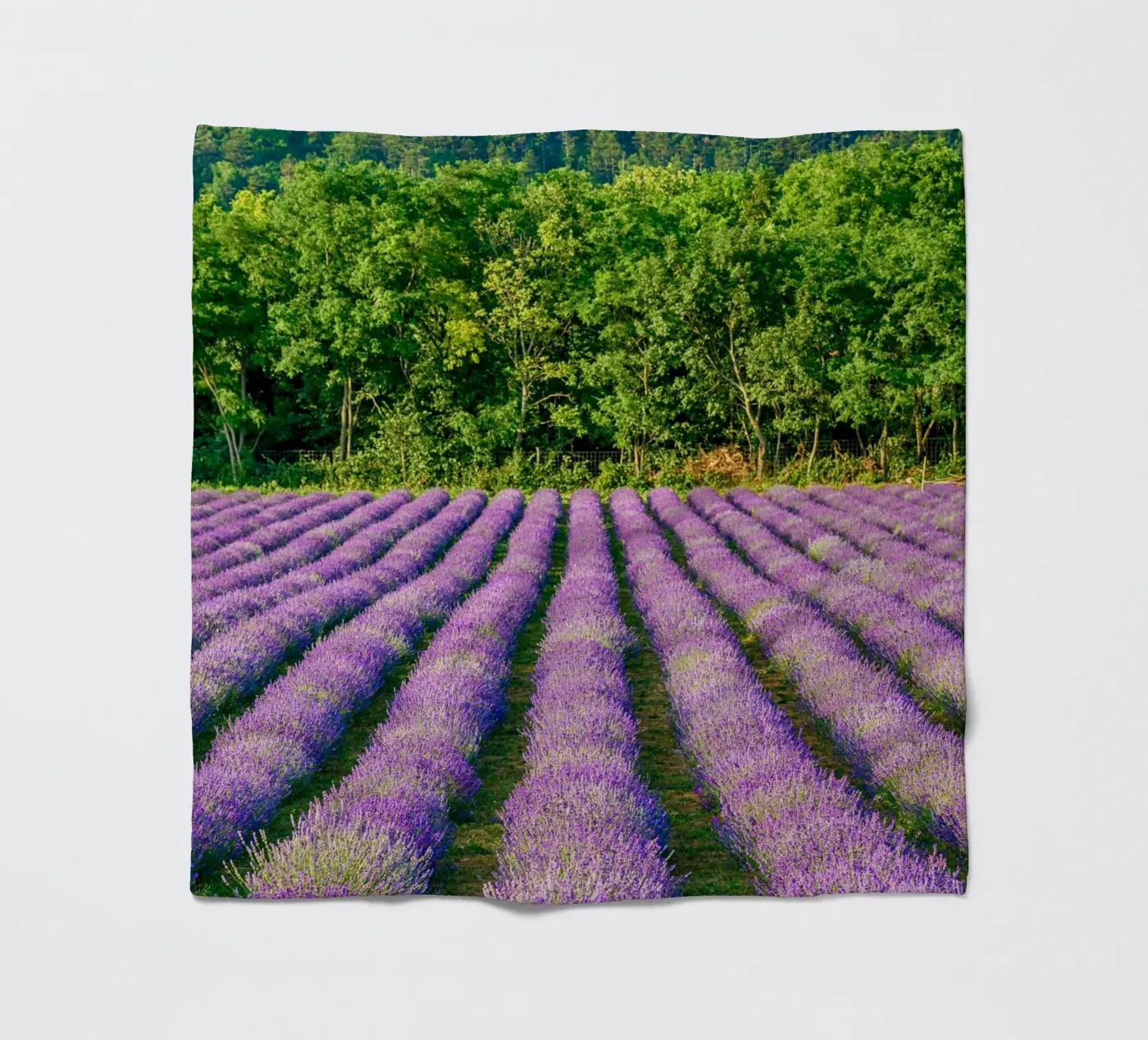 Levander field Fleecedecke von anderm