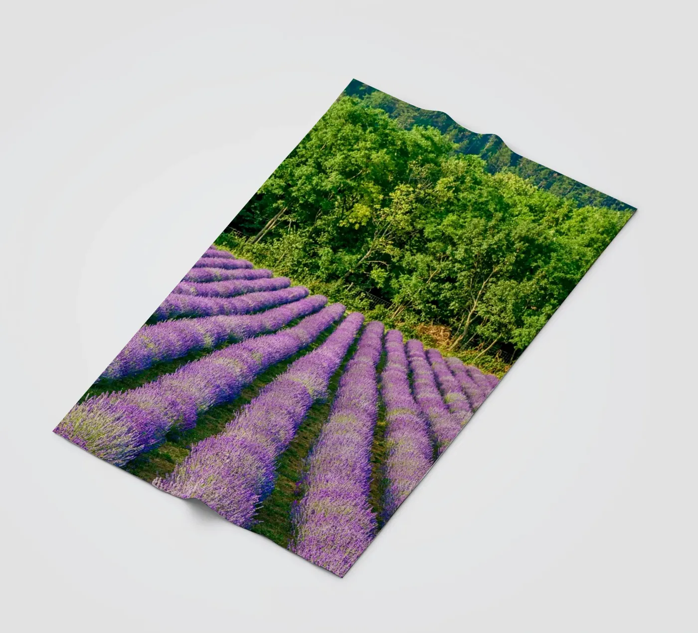 Levander field Fleecedecke von anderm