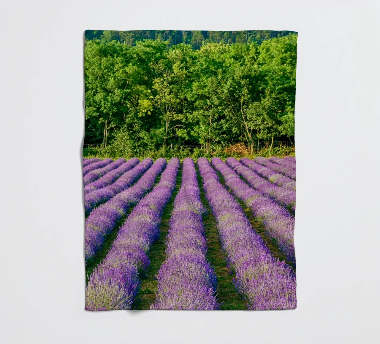 Levander-veld fleecedeken van anderm