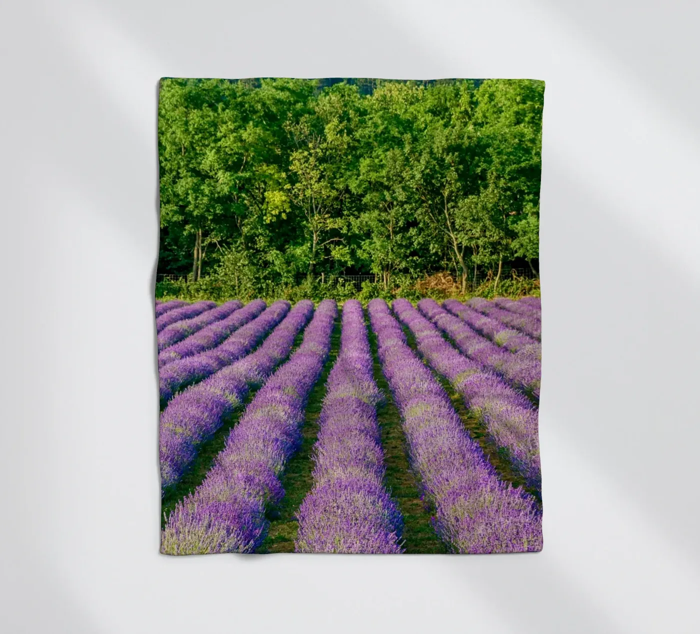 Levander field Fleecedecke von anderm