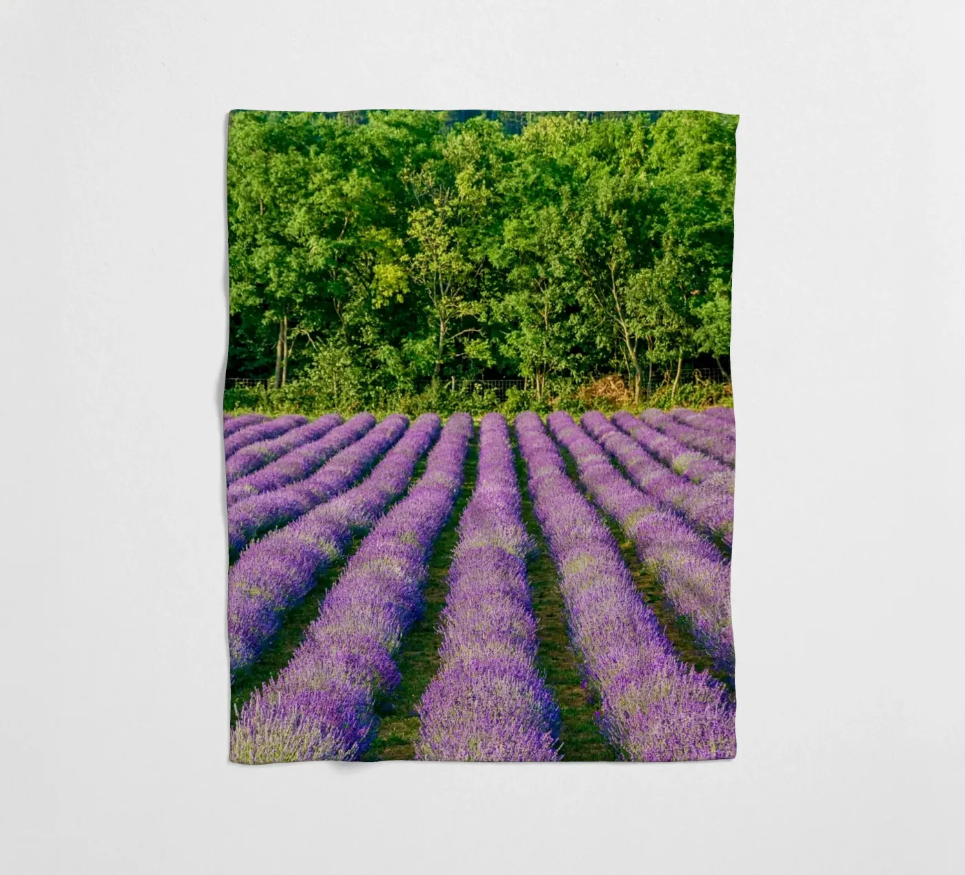 Levander field Fleecedecke von anderm